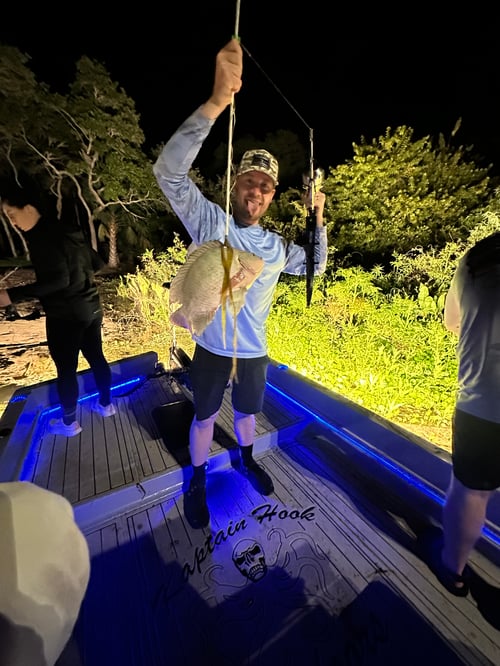 Crystal River Bowfishing