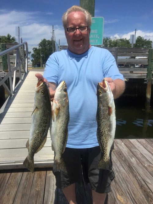 Nature Coast Inshore Trip