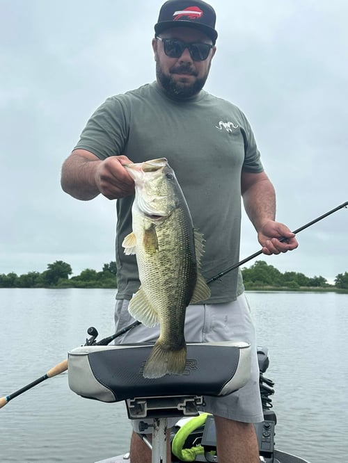 Trophy Bass On O.H. Ivie Lake