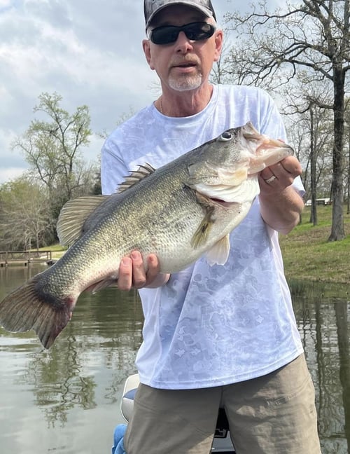 Trophy Bass On O.H. Ivie Lake