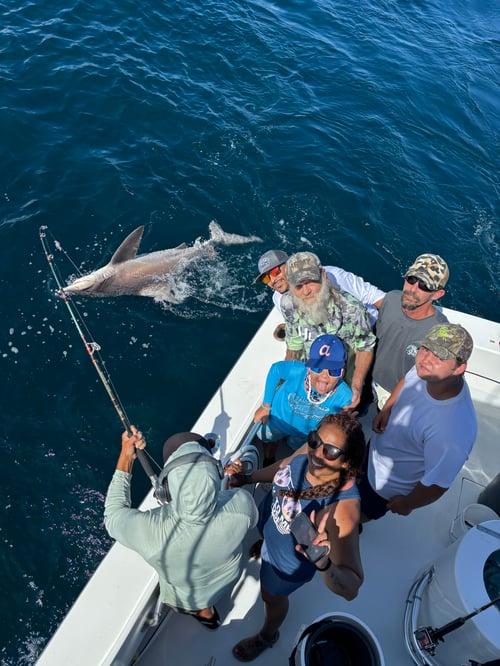Fishing Adventures with Capt Tyler from 4-12hrs!