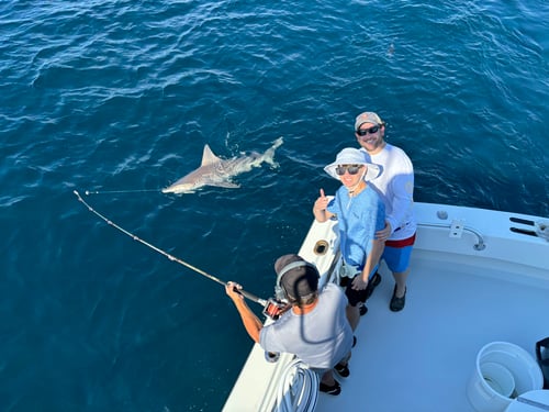 Fishing Adventures with Capt Tyler from 4-12hrs!