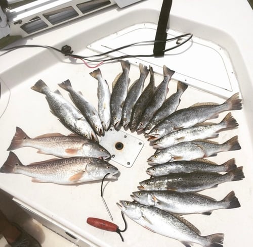 Full Day From The Boat