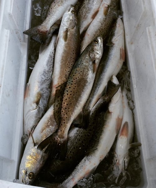 Rockport Tx Cast and Blast