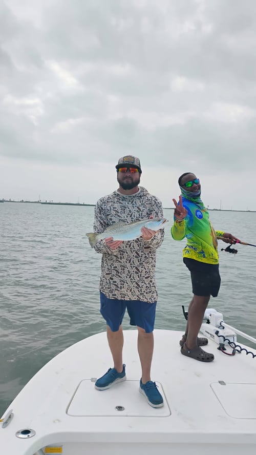 Coastal Bend Live Action!