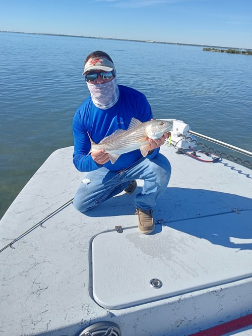 Coastal Bend Live Action!