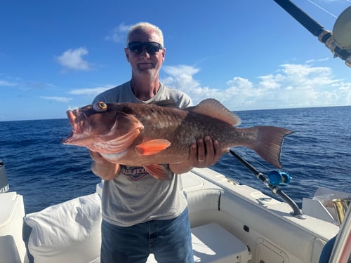 Red Grouper Fishing in Bokeelia, Florida
