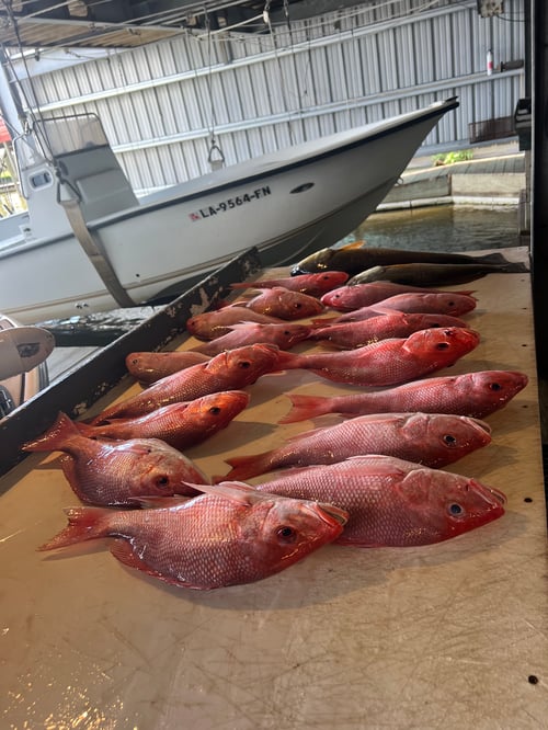 "Cajun Classic" Red Snapper Trip