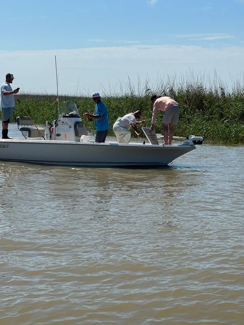 "Cajun Classic" Tripletail Trip
