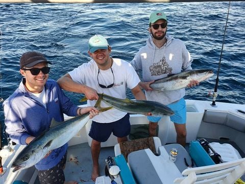 Cabo Full-Day or Half-Day