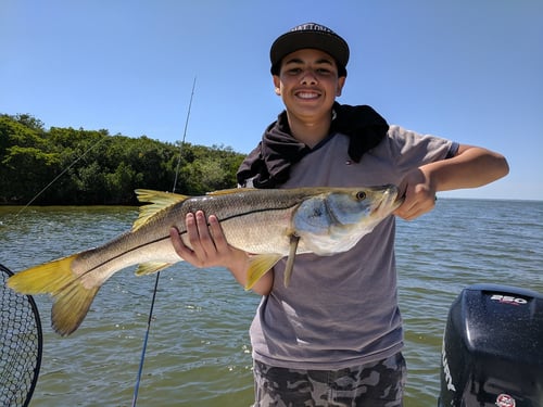 Tarpon Springs Special