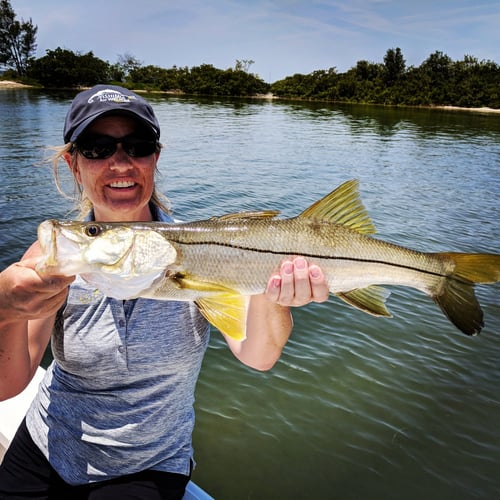 Tarpon Springs Special
