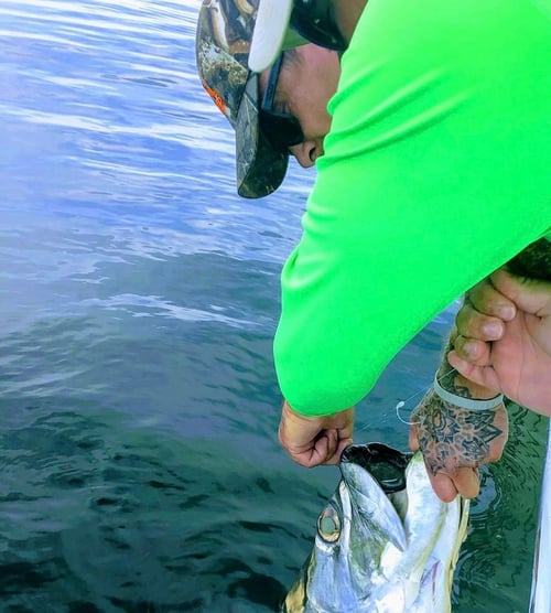 Tampa Tarpon Fishing