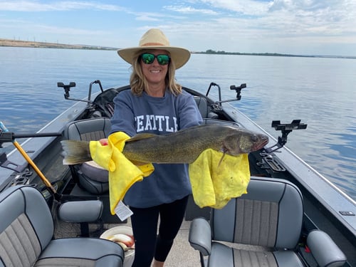 Whacking Walleye on the Columbia