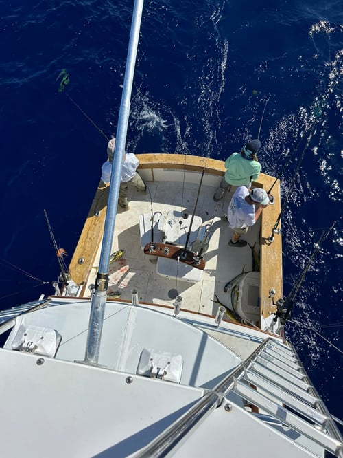 Extended Swordfish Trip