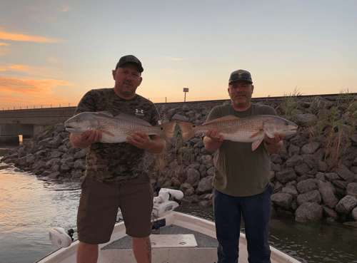 Louisiana redfish, speckled trout, and sheepshead trip