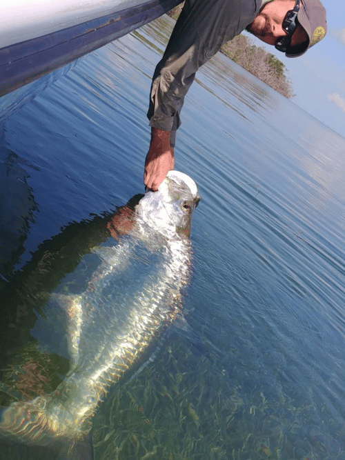 Targeting Tarpon in Key West