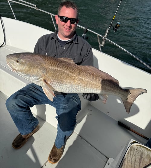 Nearshore/Inshore Madness