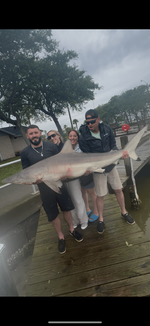 Nearshore/Inshore Madness