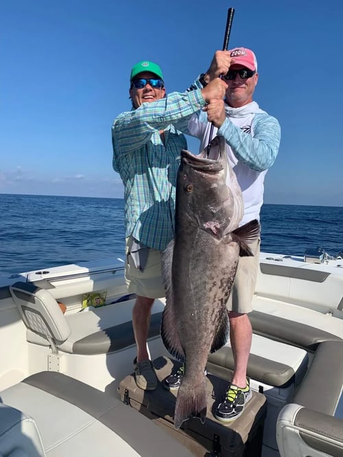 Deep Dropping in Pensacola