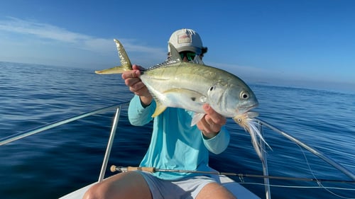 BYOG Fly Fishing Punta Mita