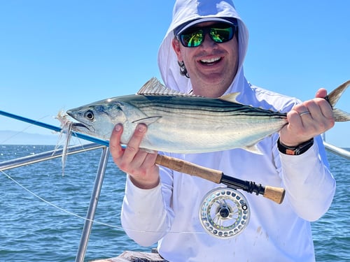 BYOG Fly Fishing Punta Mita
