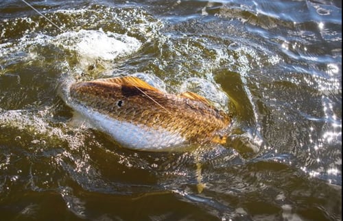 Laguna Madre Inshore Run