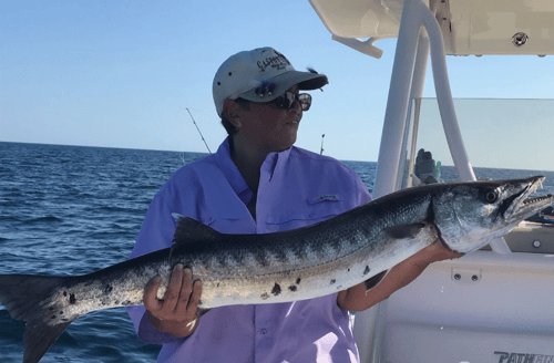 Nearshore Live Action