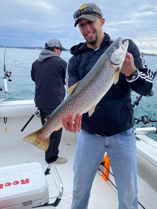 Michigan Salmon Action