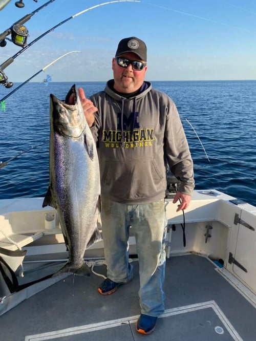 Michigan Salmon Action