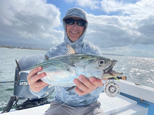Fly Fishing Punta Mita