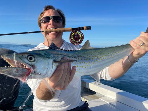 Fly Fishing Punta Mita