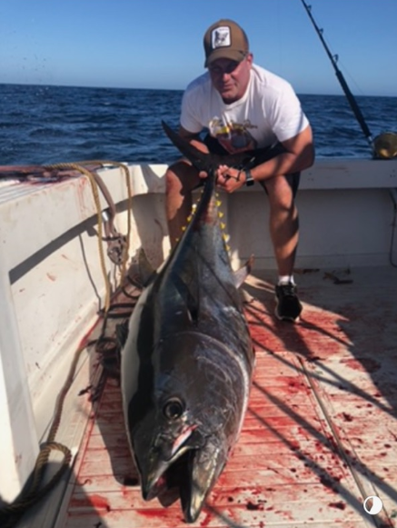 Full Day Local Offshore Trip - 42' Hershine