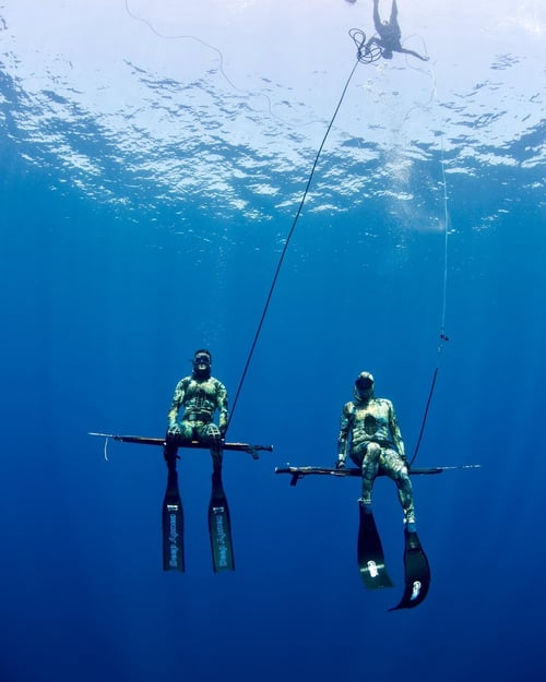 Blue Water Spearfishing Trip