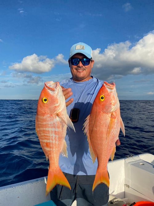 25' Panga - Nearshore or Offshore