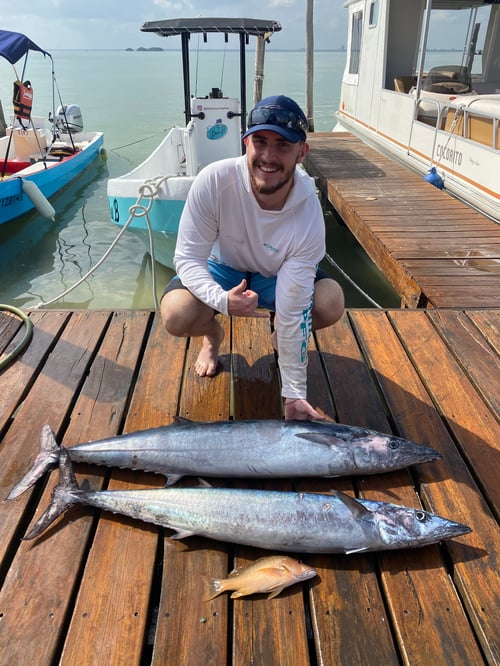 25' Panga - Nearshore or Offshore