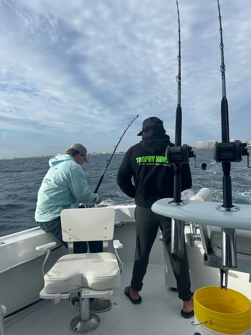 Big Game Shark Fishing
