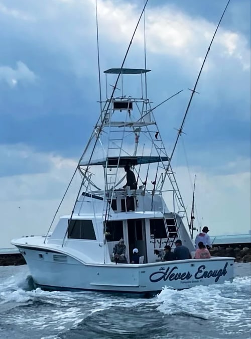 Big Game Shark Fishing