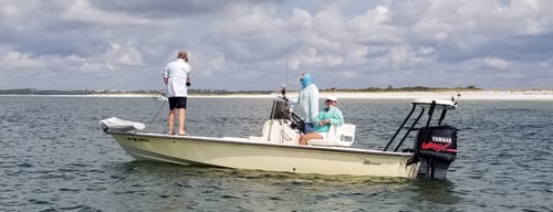 Pensacola Bay Fly Fishing