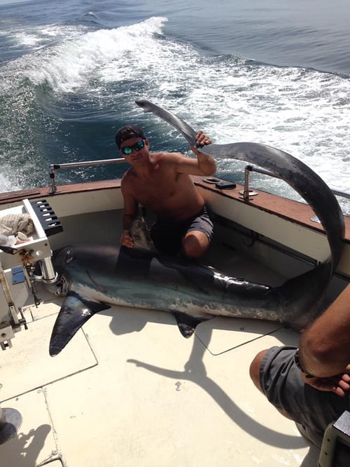 Shark Fishing Montauk