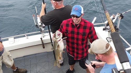 Epic Salmon and Trout Trip