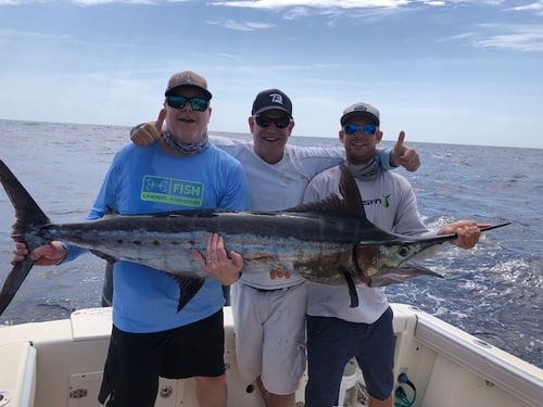 Mahi Mahi Offshore Combo