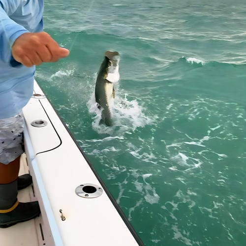 Tarpon Trip