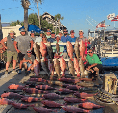 Big Shot Bottom Fishing