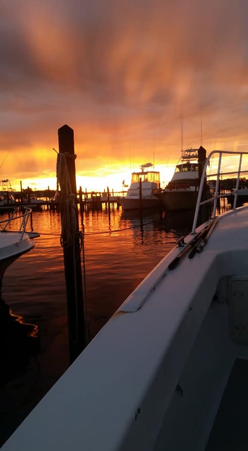 Orange Beach Half-Day Troll