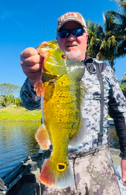 Palm Beach Exotics and Invasives