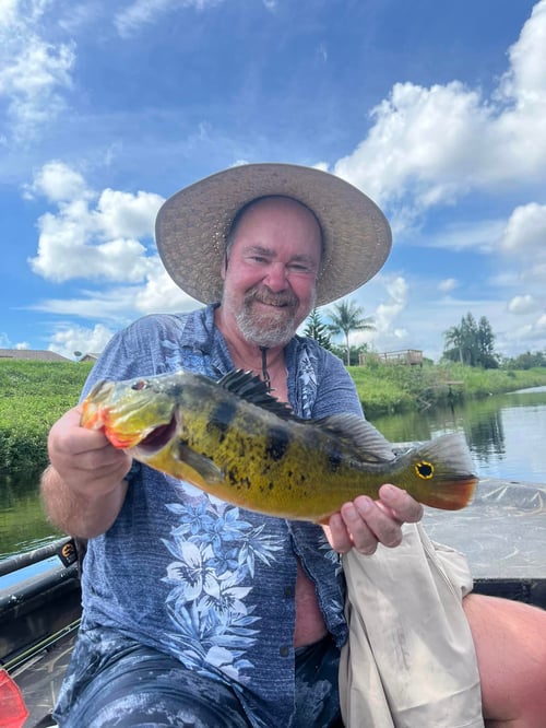 Palm Beach Exotics and Invasives