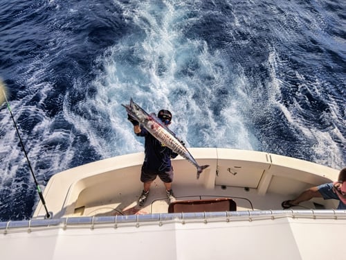 Deep-Sea in Blue Marlin Alley