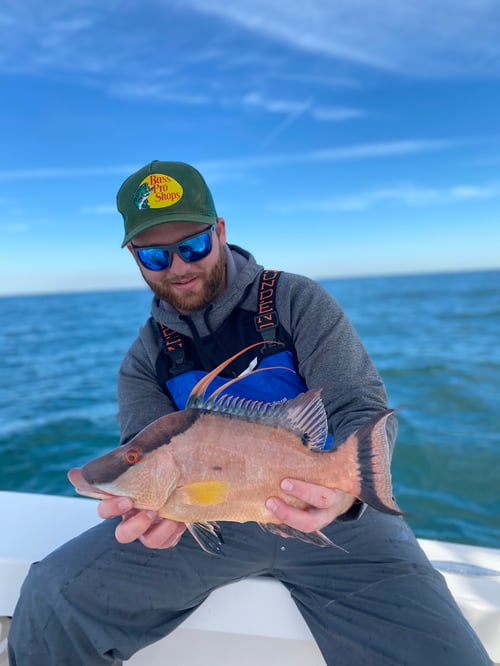 Clearwater Nearshore Fishing