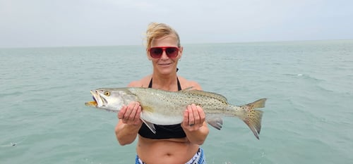 10-Hour Hardcore Fishing
